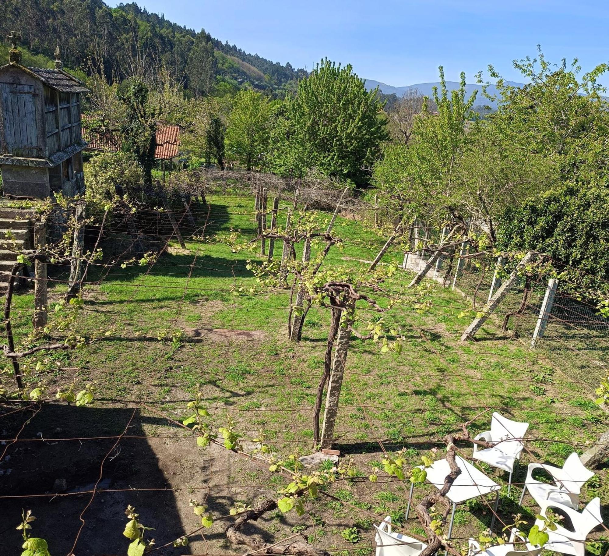 Pension Rural Para Peregrinos "Areal" ปาดรอน ภายนอก รูปภาพ